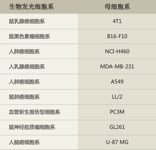   珀金埃尔默(图9)